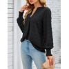 imageBlooming Jelly Womens Business Casual Tops Long Sleeve V Neck Dressy Office Work Fall Shirt Chiffon BlouseBlack