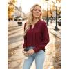 imageBlooming Jelly Womens Dressy Casual Tops Business Long Sleeve Shirts Pleated Fall Work Blouse 2024Wine Red